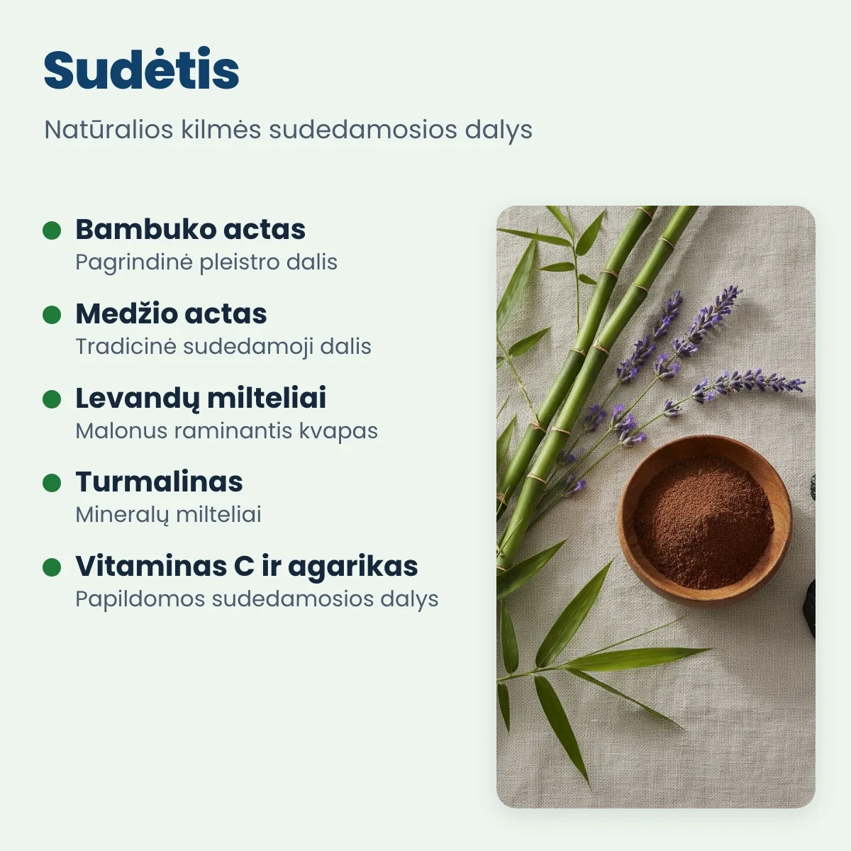 Detox pleistrų sudėtis