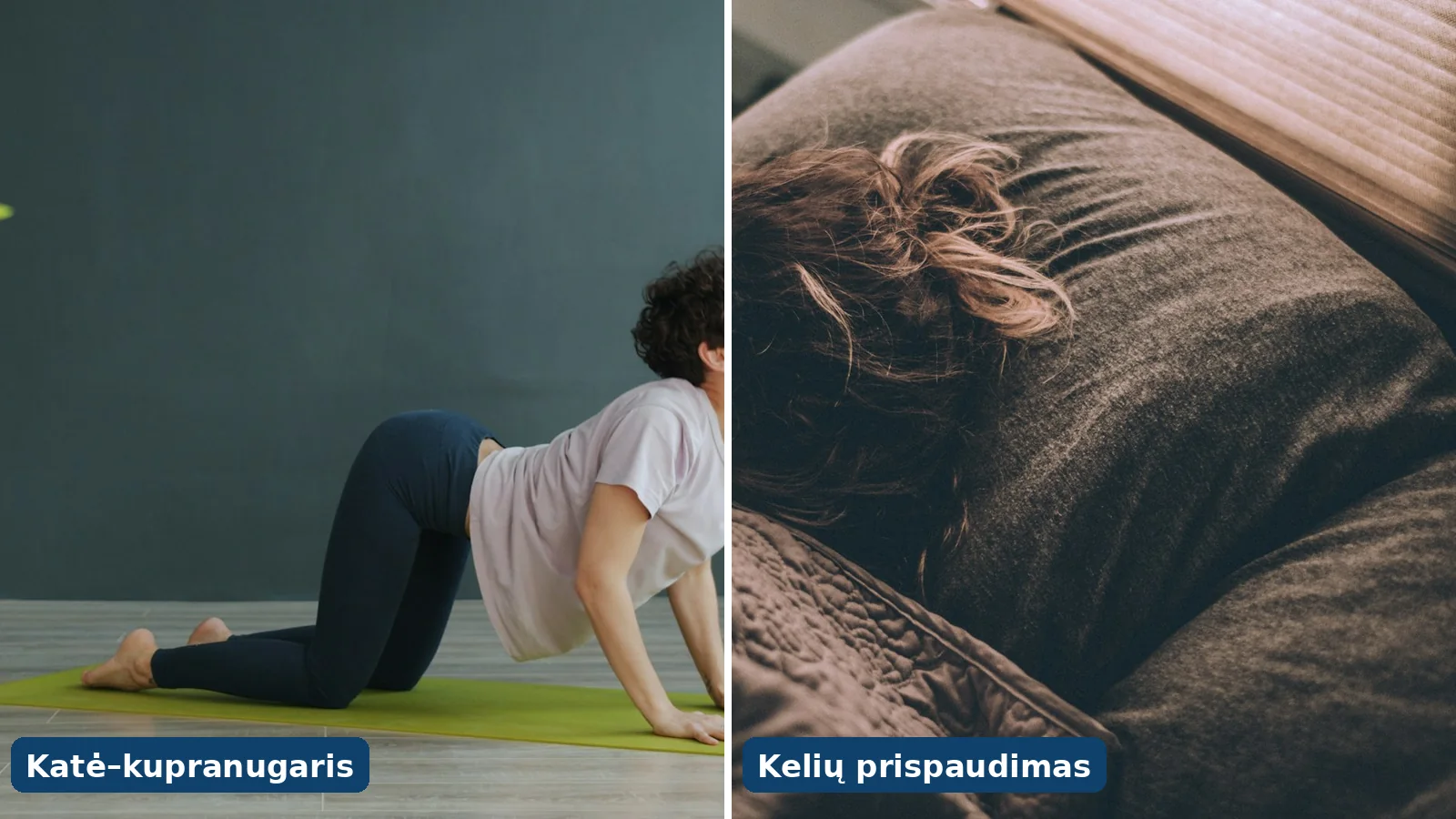 Du nugaros mobilumo pratimai: katė–kupranugaris ir kelių prispaudimas prie krūtinės