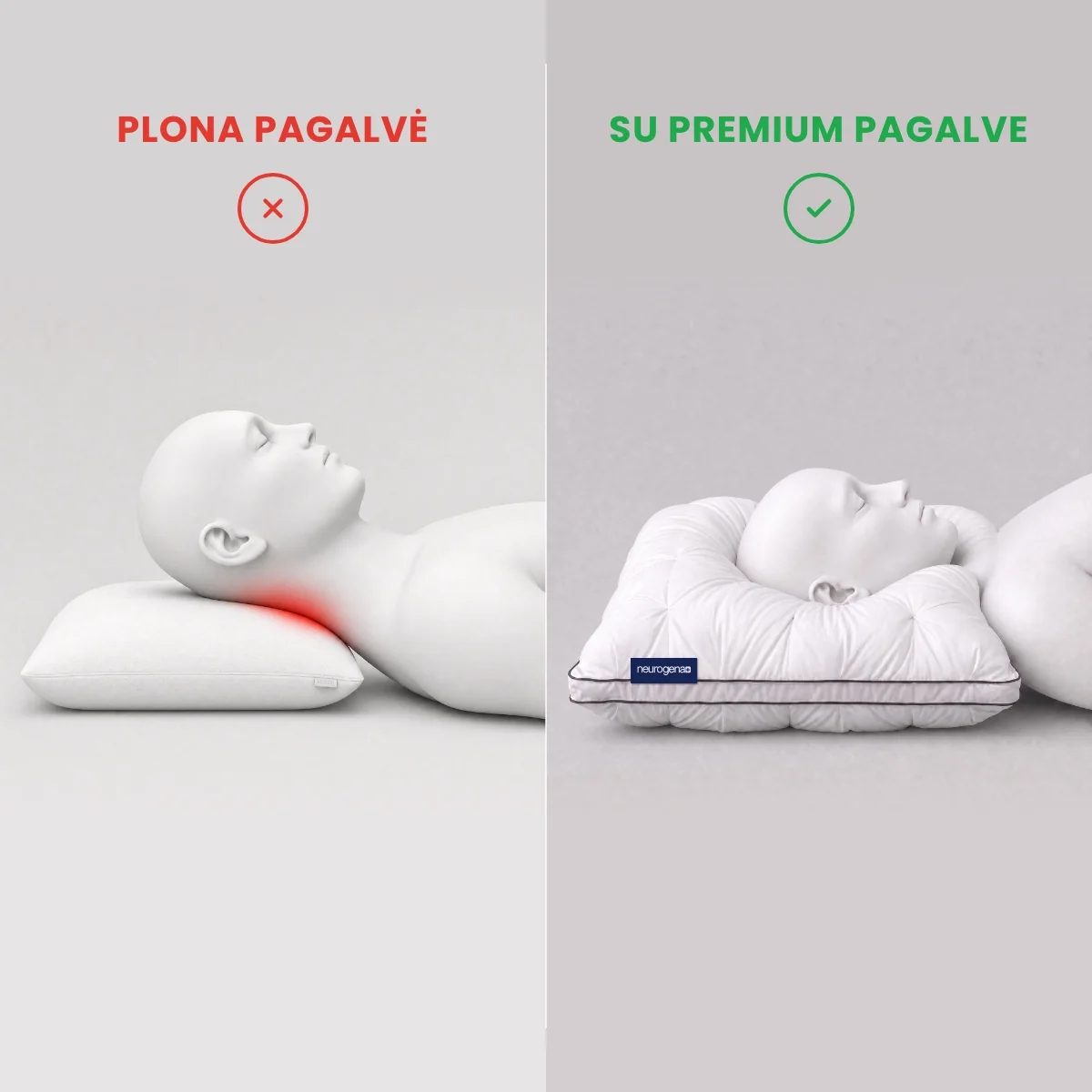 Plona pagalvė ir premium pagalvė