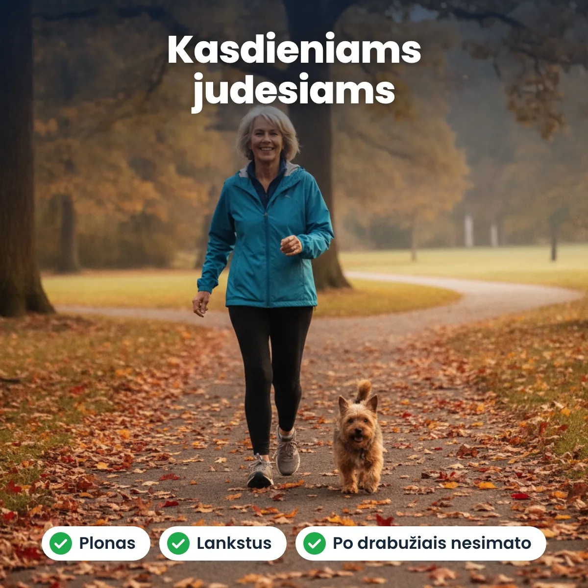 Kasdieniams judesiams